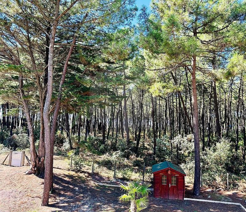 Studio - 22 m² - 1 pièce