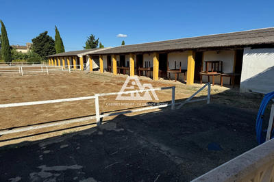 Terrain agricole - 11 000 m²