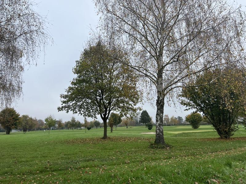 Local commercial - 450 000 m²