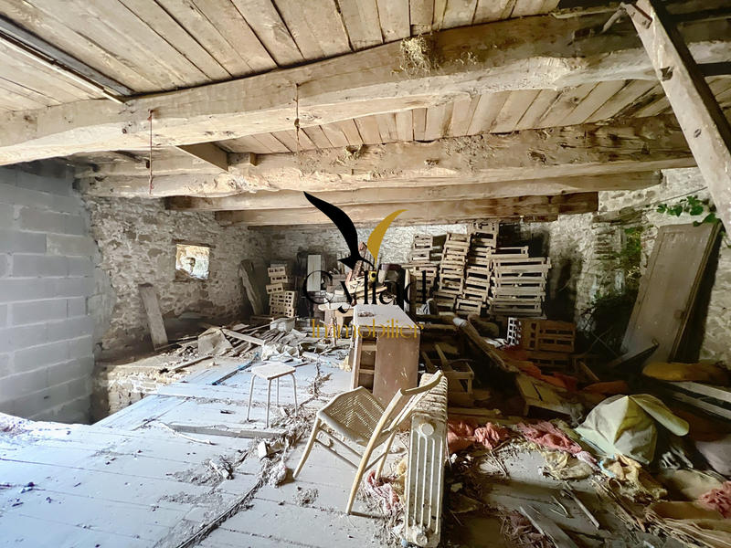 Maison ancienne - 400 m² - 8 pièces