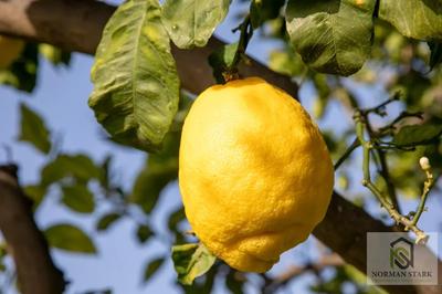 Fonds de commerce - 56 m²