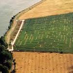Labyrinthe de Beaugency