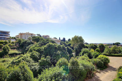 Appartement - 54 m² - 2 pièces