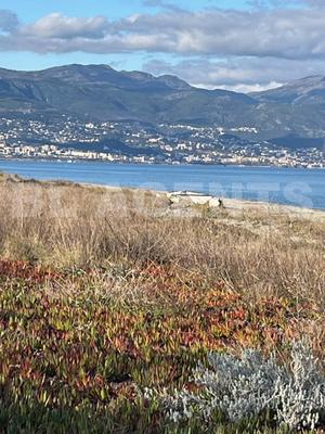 Maison jumelée - 52 m² - 3 pièces