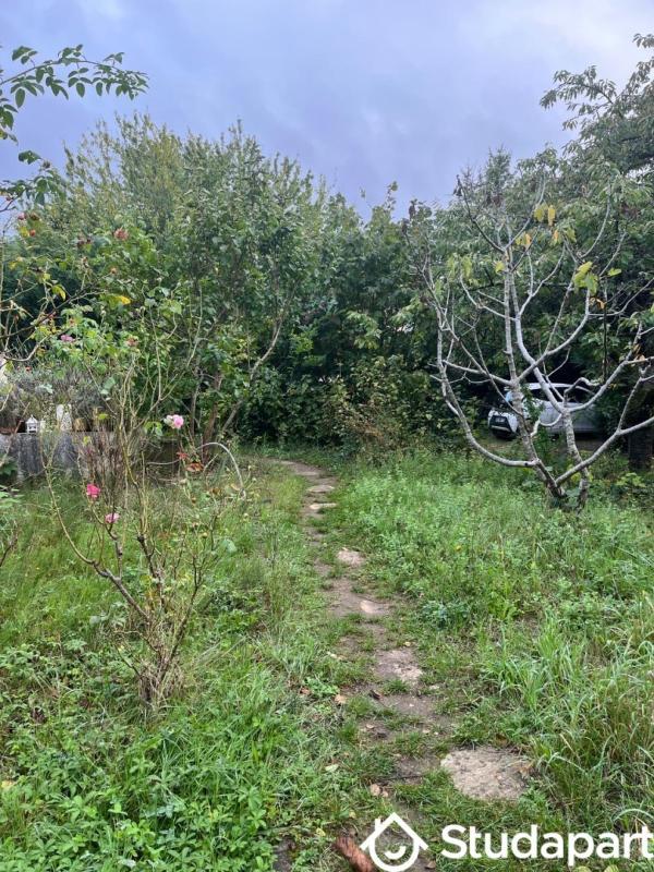 Chambre - 55 m² - 1 pièce