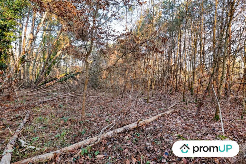 Terrain de loisirs - 1 595 m²