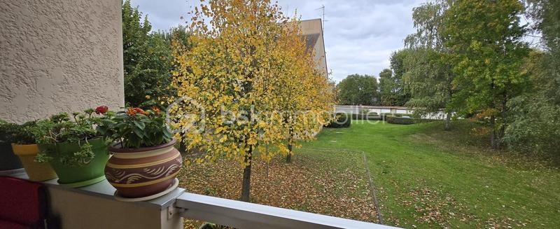 Appartement - 75 m² - 3 pièces