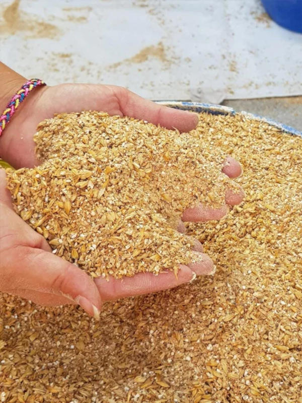 Visite guidée de la Brasserie du Pays Welche