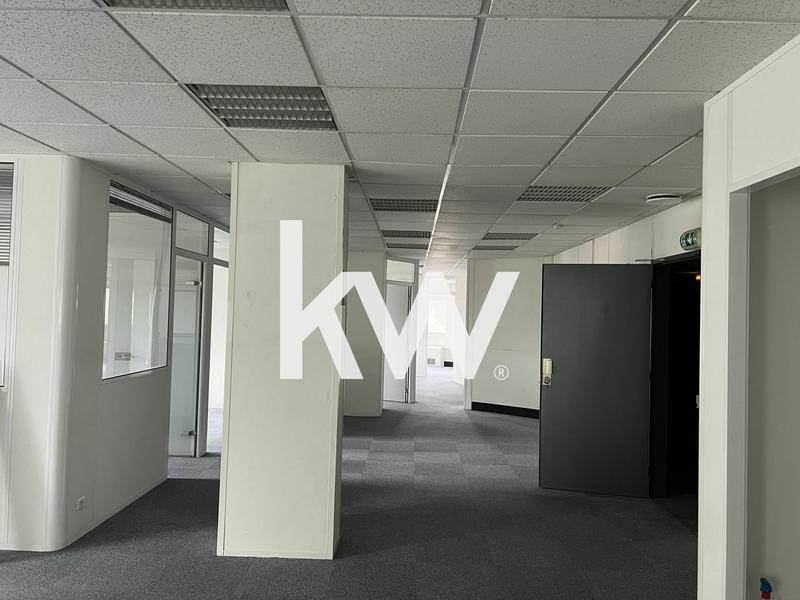 Bureau - 157 m²