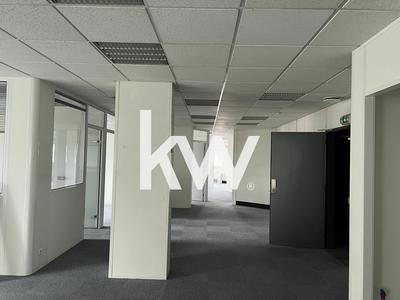 Bureau - 157 m²