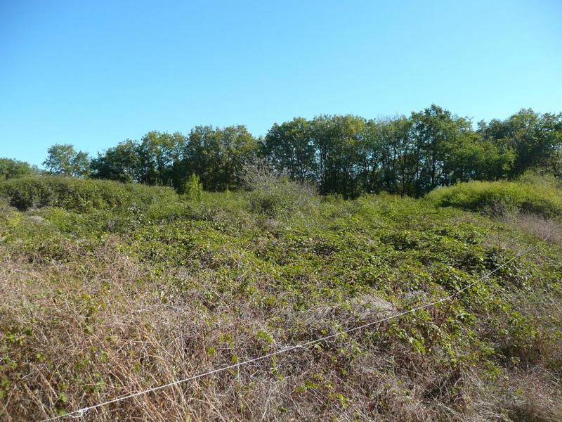 Terrain constructible - 5 345 m²