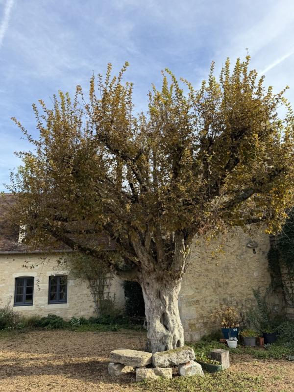 Maison - 167 m² - 5 pièces