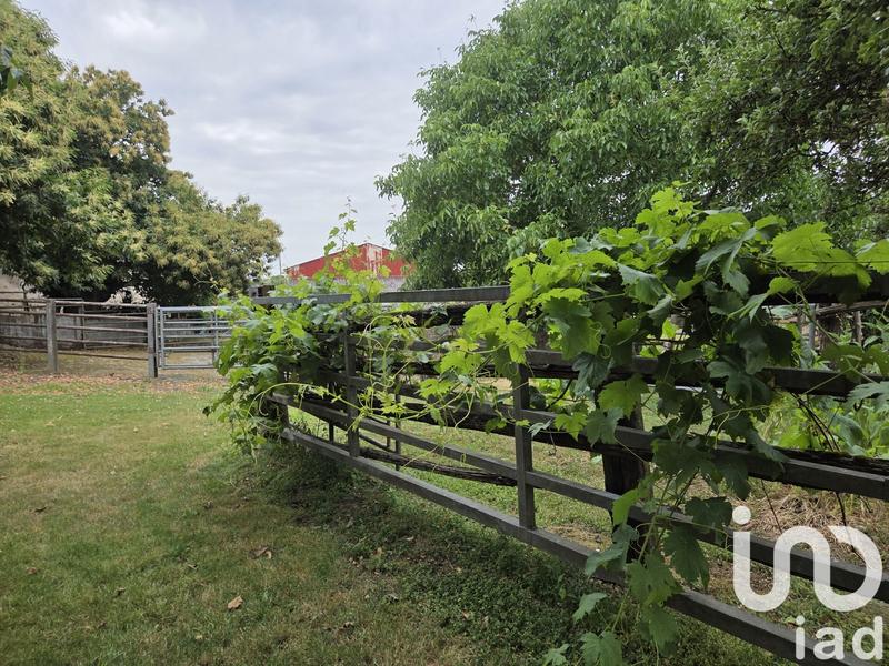 Maison de campagne - 218 m² - 12 pièces