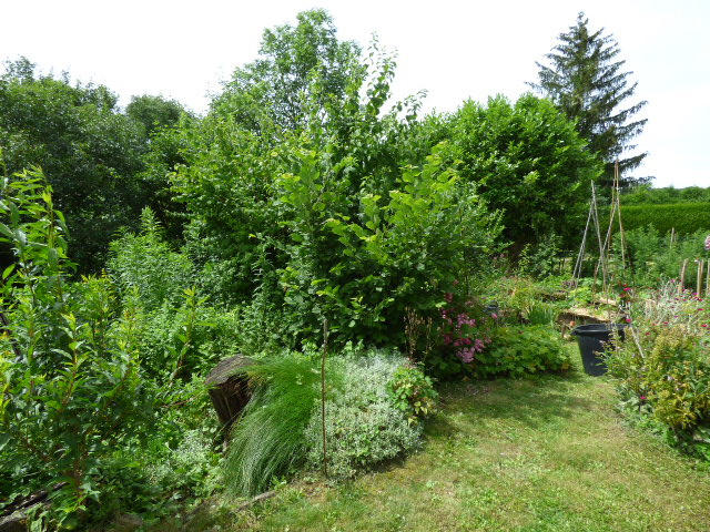 Maison - 228 m² - 7 pièces