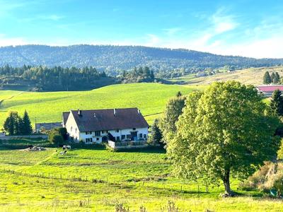 Corps de ferme - 168 m² - 6 pièces