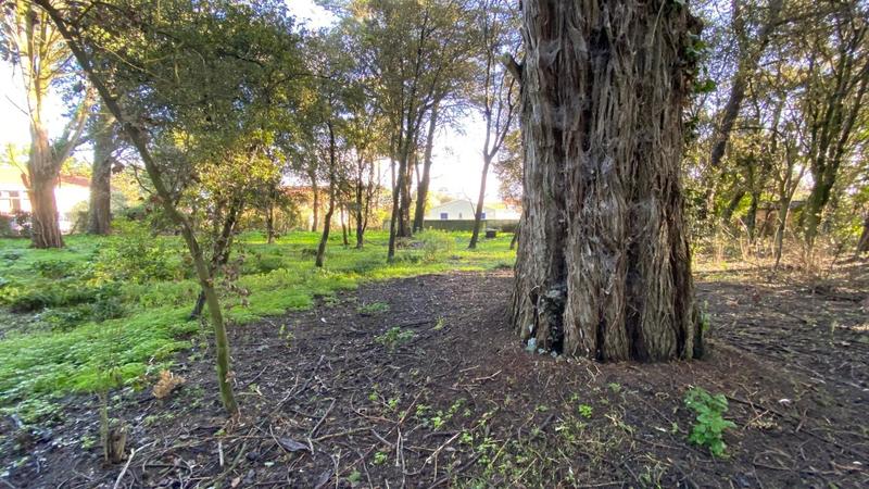 Terrain constructible - 2 000 m²