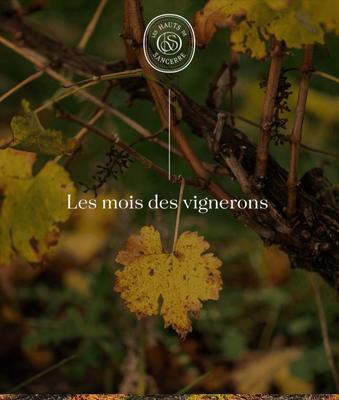 Rencontres vigneronnes