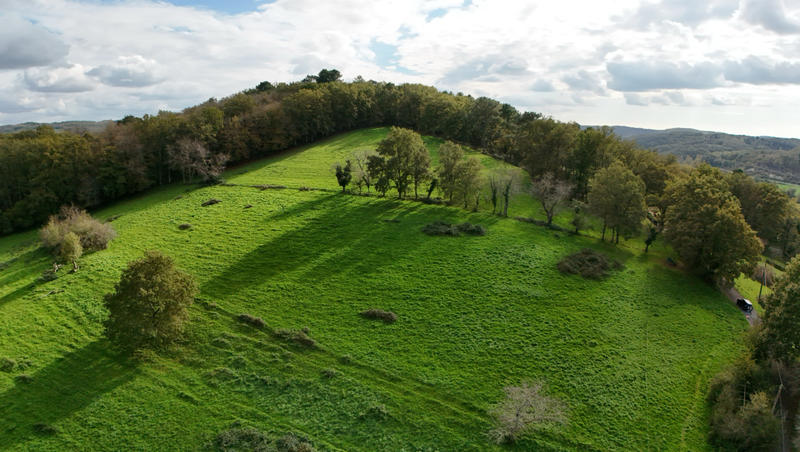 Terrain - 62 315 m²