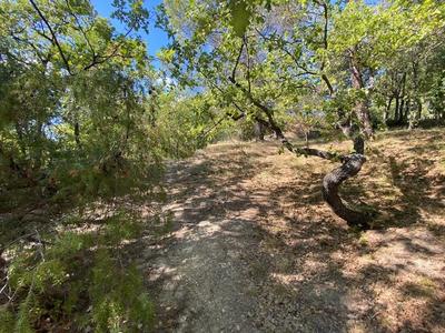 Terrain constructible - 1 820 m²