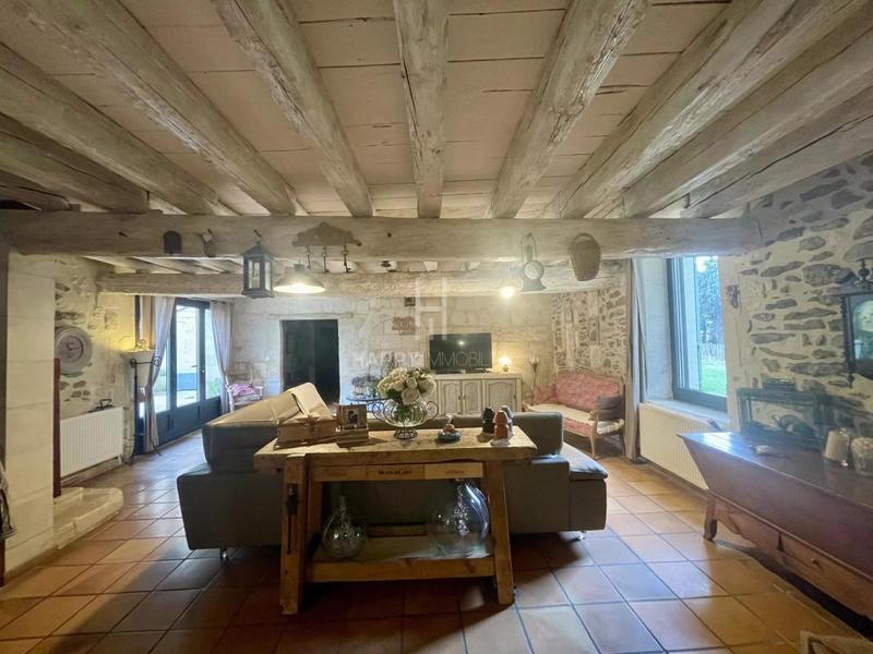 Mas - 450 m² - 5 pièces