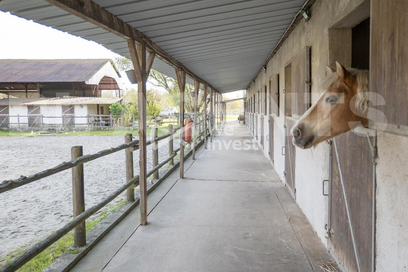 Maison - 220 m² - 9 pièces