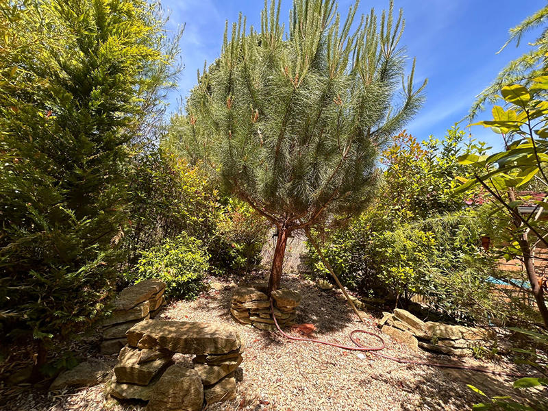 Maison - 47 m² - 2 pièces