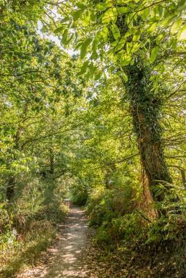 Terrain constructible - 425 m²