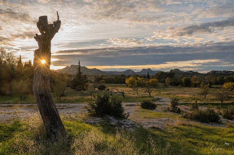 Exposition Art Alpilles- Ombres et Eclats