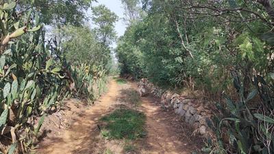 Terrain agricole - 20 959 m²