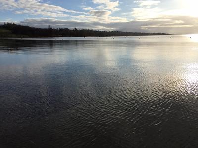 Appartement - 112 m² - 5 pièces