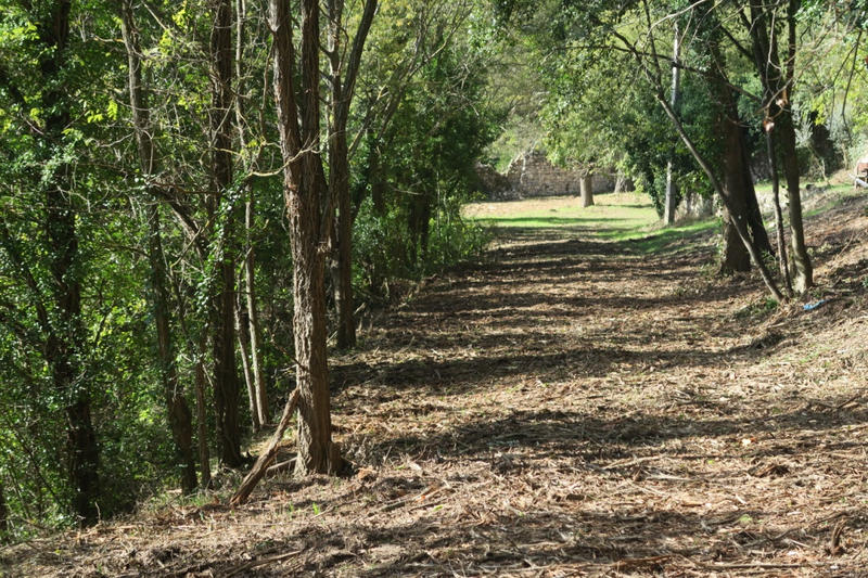 Maison - 300 m² - 10 pièces