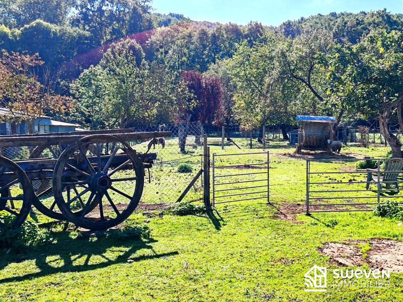 Ferme - 329 m² - 8 pièces