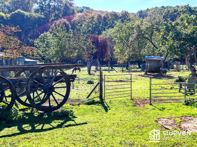 Ferme - 329 m² - 8 pièces