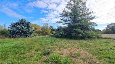 Maison traditionnelle - 225 m² - 6 pièces