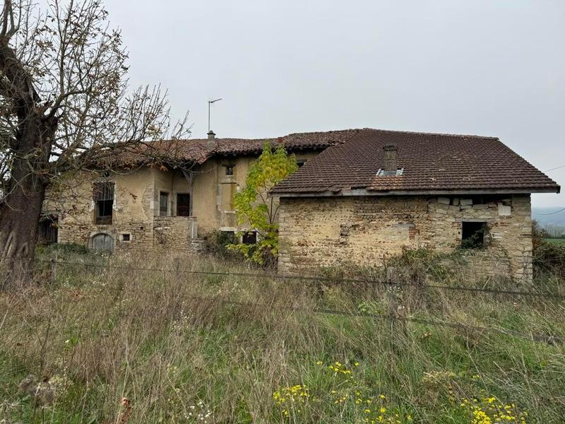 Terrain - 98 000 m²