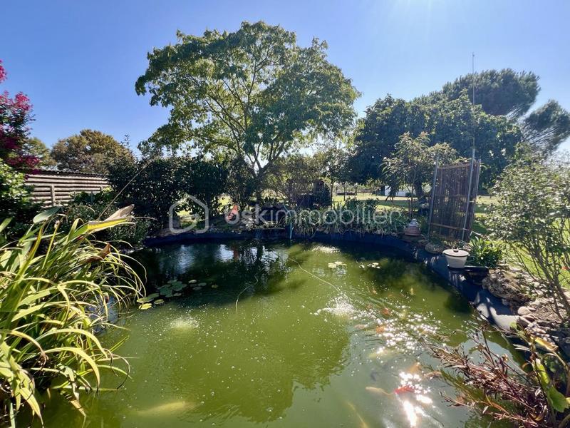 Maison - 218 m² - 7 pièces