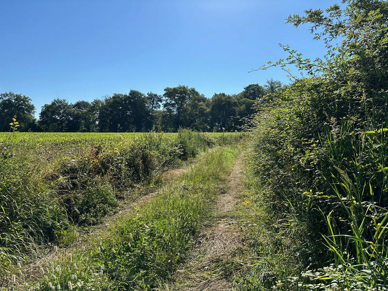 Maison - 180 m² - 5 pièces