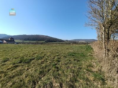 Terrain - 10 667 m²