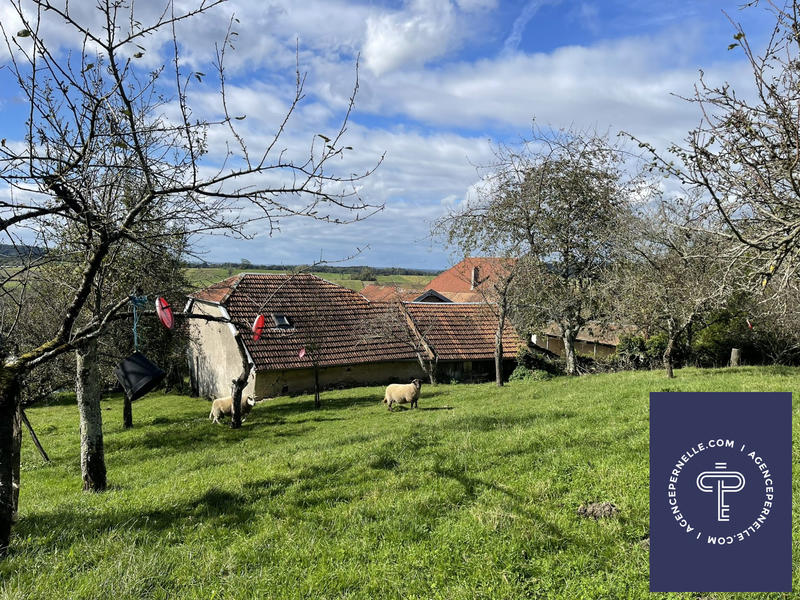 Viager - Ferme - 103 m² - 5 pièces