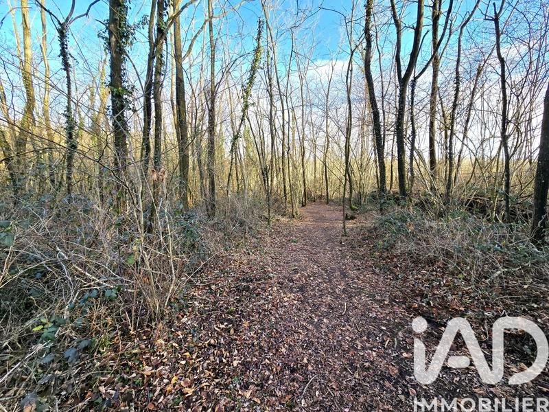 Terrain - 22 165 m²