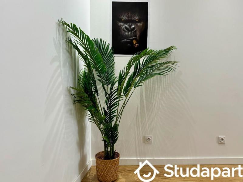 Appartement - 63 m² - 3 pièces