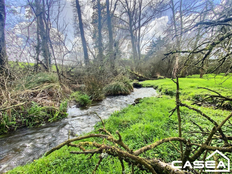 Maison ancienne - 300 m² - 15 pièces