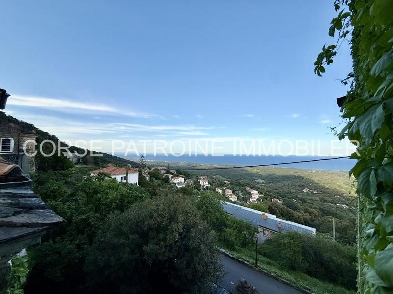 Appartement - 52 m² - 3 pièces