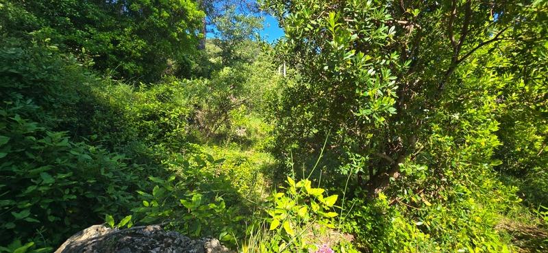 Terrain constructible - 2 000 m²