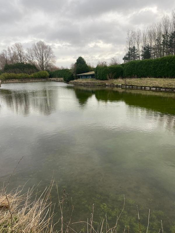 Terrain de loisirs - 7 248 m²