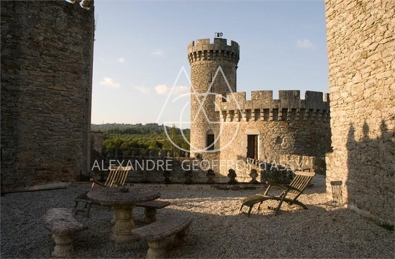 Château - 3 500 m² - 30 pièces