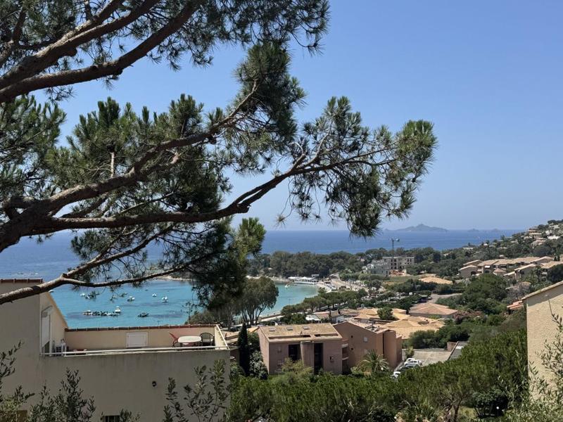 Appartement - 27 m² - 1 pièce