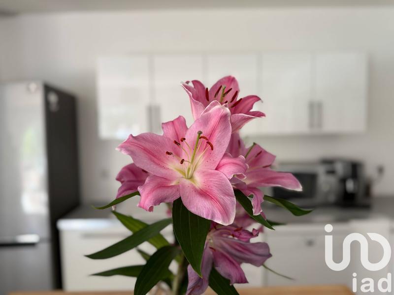 Maison - 91 m² - 4 pièces