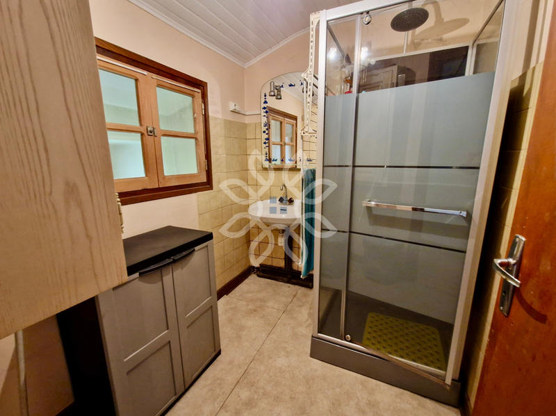 Propriété - 300 m² - 10 pièces