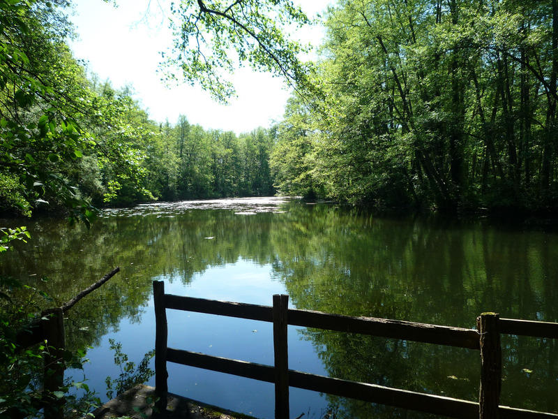 Propriété - 380 m² - 13 pièces